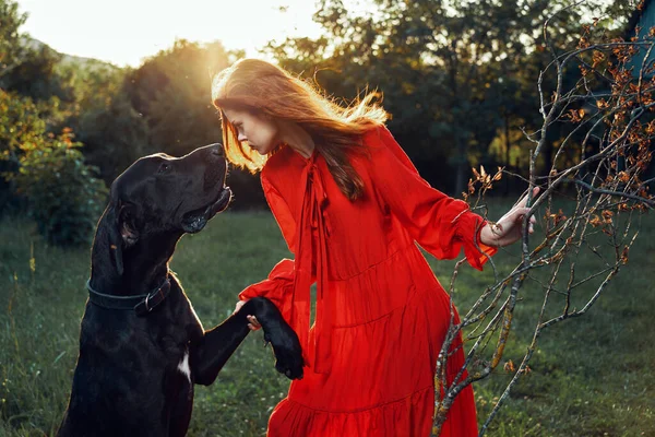 Cute woman in red dress playing with dog outdoors friendship — Stock Photo, Image