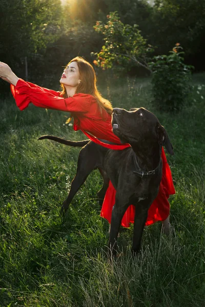 黒い犬のいる畑の赤いドレスの女性友情の楽しみ — ストック写真