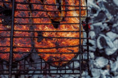 Açık havada balık pişirmek. Mangal yakın plan kömür yemeği.