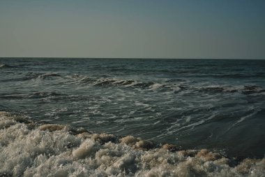 Dalgalar kumsal kumsal manzarası okyanus yaz seyahati