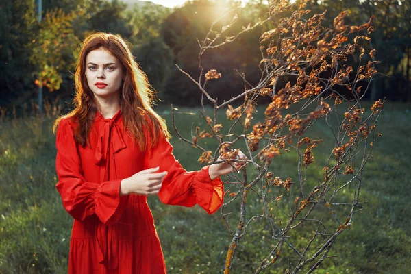 Женщина в красном платье в поле рядом с деревом позирует летом — стоковое фото