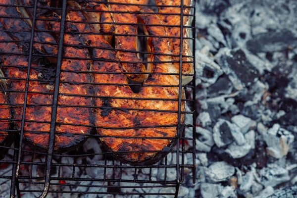 Peixe grelhado bbq carvão vegetal cozinhar natureza verão — Fotografia de Stock