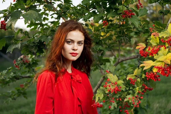 Kvinna i röd skjorta nära buske bär natur sommar — Stockfoto