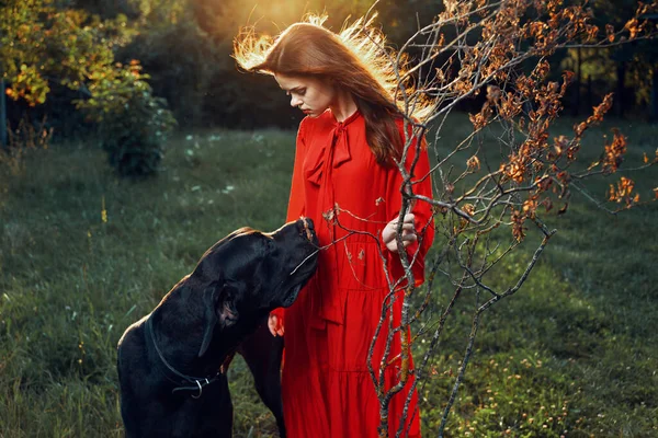 Fashion attractive woman in black purebred dog outdoors — Stock Photo, Image