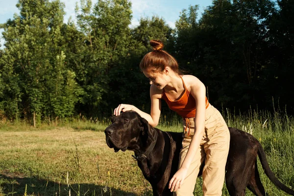 Kvinna på fältet på sommaren leker med en hund vänskap — Stockfoto