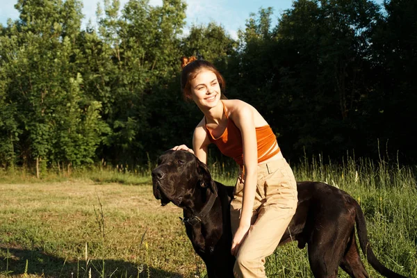 Γυναίκα στο πεδίο το καλοκαίρι παίζει με μια φιλία σκυλιών — Φωτογραφία Αρχείου