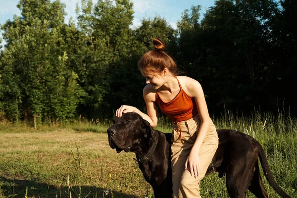 Femme sur le terrain en été jouer avec une amitié de chien — Photo