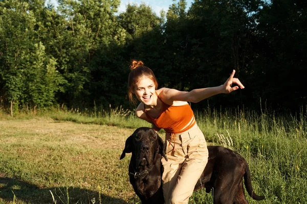Glada kvinna och hund i naturen spel Vänskap — Stockfoto