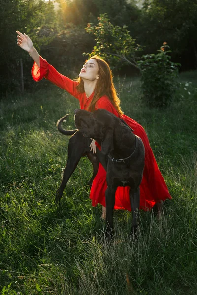 黒い犬のいる畑の赤いドレスの女性友情の楽しみ — ストック写真