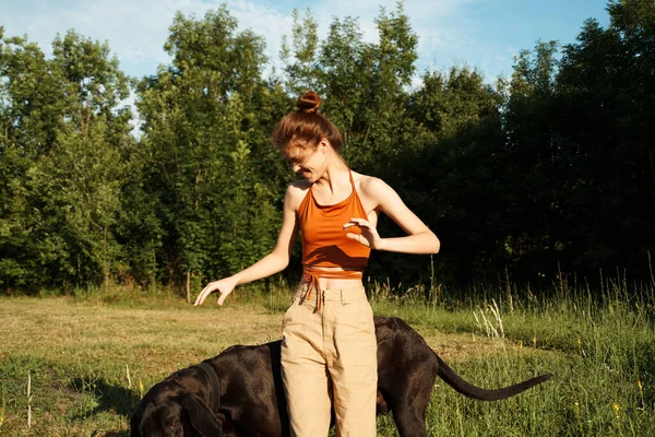 Woman outdoors in the field with dog friendship playing — Stock Photo, Image