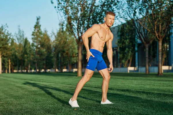 Yaz parkında egzersiz yapan kaslı bir adam.