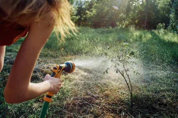 Kvinna vattning träd i trädgård landsbygd sommar jordbruk — Stockfoto