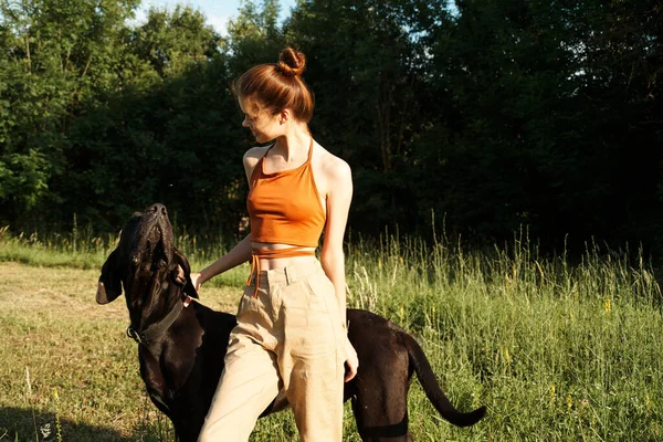 Woman in the field in summer playing with a dog friendship — Stock Photo, Image