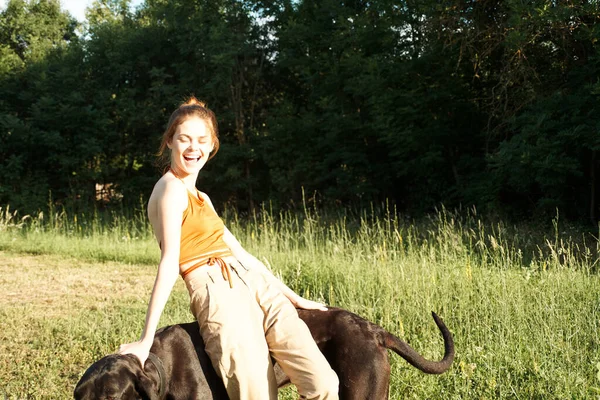 Mulher no campo no verão brincando com uma amizade cão — Fotografia de Stock