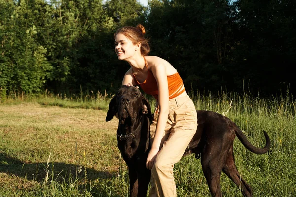 Glada kvinna och hund i naturen spel Vänskap — Stockfoto