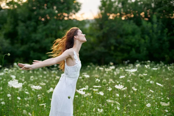 自然界に白いドレスを着た花の野の陽気な女性 — ストック写真