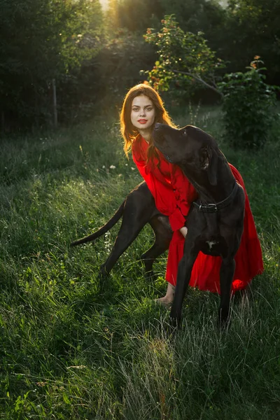 Woman in a red dress in a field with a black dog Friendship fun — Stock Photo, Image