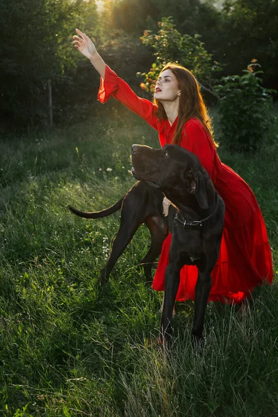 Femme en robe rouge dans un champ avec un chien noir Amusement d'amitié — Photo