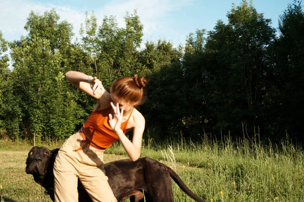 Femme à l'extérieur dans le domaine avec chien amitié jouer — Photo
