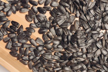 ayçekirdeği tarımsal ahşap arka plan organik