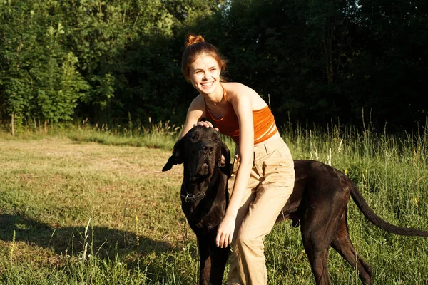 Kvinna på fältet på sommaren leker med en hund vänskap — Stockfoto