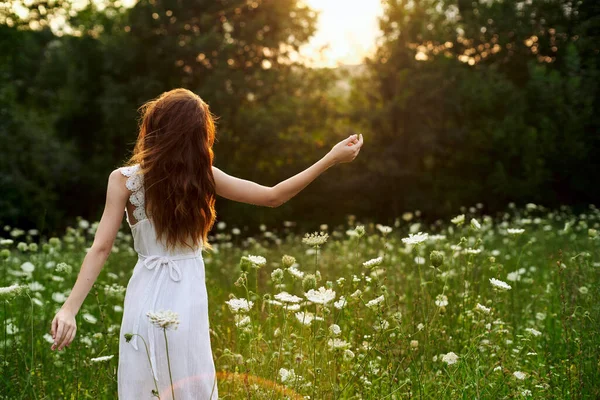 Mulher de vestido branco em um campo flores sol natureza liberdade — Fotografia de Stock