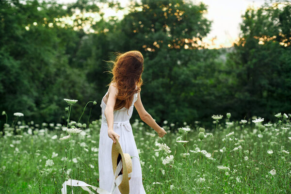 Pretty woman in a field in nature white dress fresh air. High quality photo