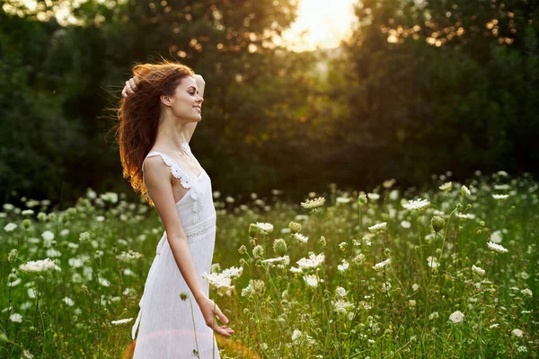 Beyaz elbiseli, kır çiçekli kadın. Güneş doğası özgürlüğü. — Stok fotoğraf