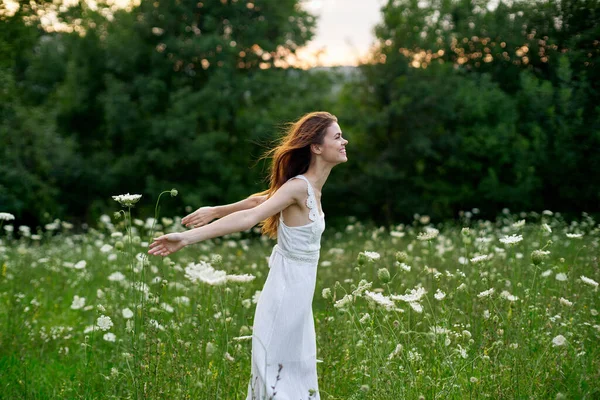 Kvinna i en vit klänning i ett fält på naturen blommor frihet sommar — Stockfoto