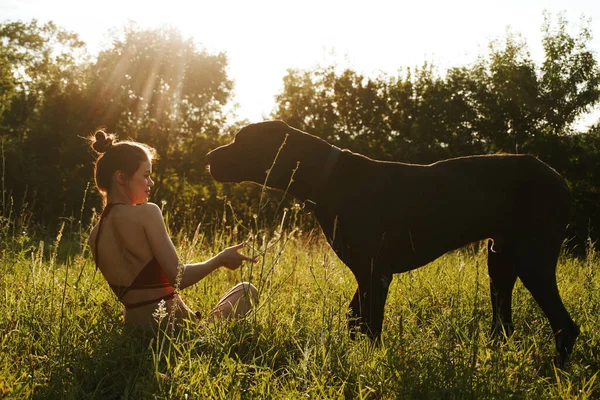 Весела жінка грає з собакою в полі на природі влітку — стокове фото