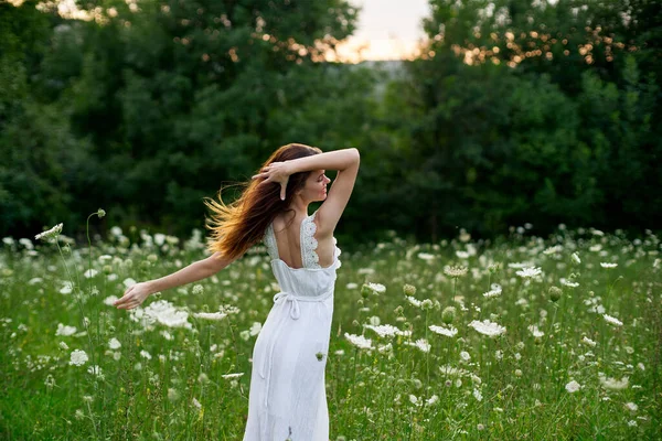 Γυναίκα σε ένα λευκό φόρεμα σε ένα πεδίο στη φύση λουλούδια ελευθερία καλοκαίρι — Φωτογραφία Αρχείου