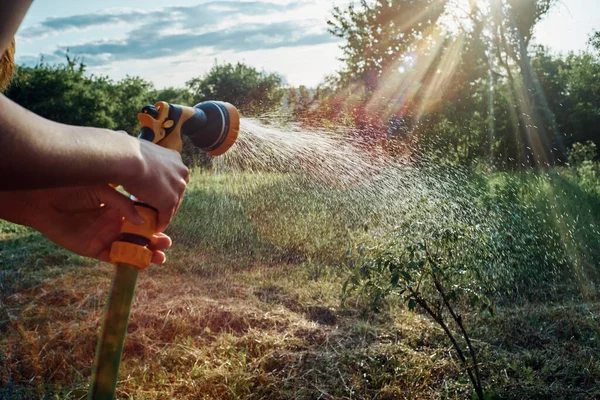 Vattning träd trädgård natur sommar odling växer — Stockfoto