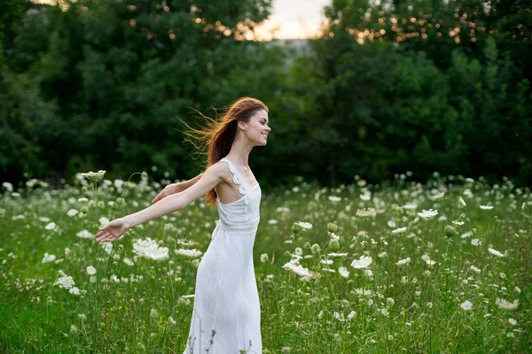 Woman in a white dress in a field on nature flowers freedom summer — Stock Photo, Image