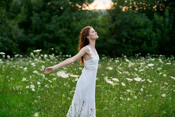 Kvinna i en vit klänning i ett fält på naturen blommor frihet sommar — Stockfoto