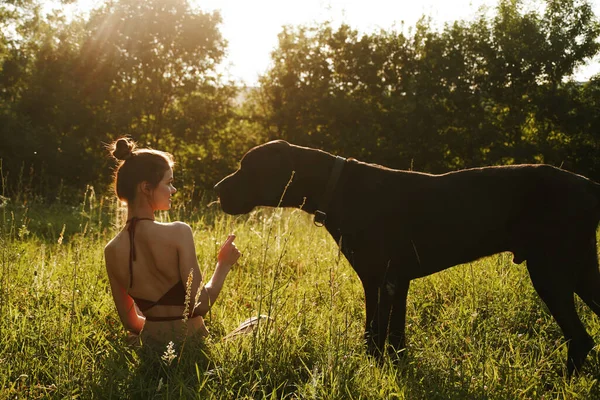 Glad kvinna leker med en hund på ett fält i naturen på sommaren — Stockfoto