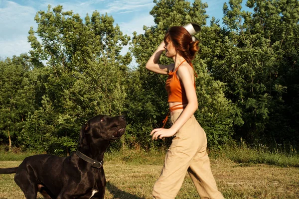 Woman playing with a big black dog outdoors in the field fun friendship — Stock Photo, Image