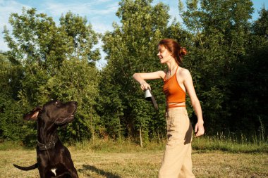 Dışarıda büyük siyah bir köpekle oynayan bir kadın. Eğlenceli bir arkadaşlık.