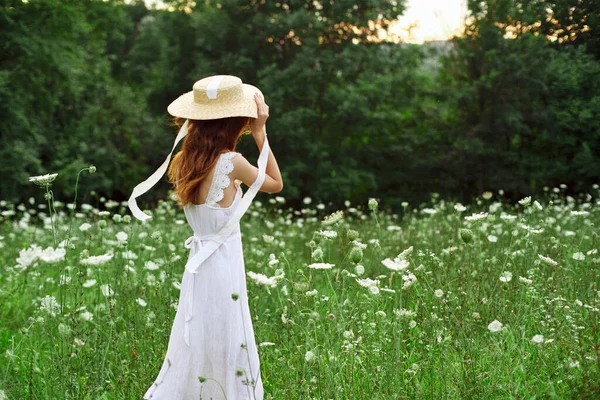 Mujer bonita en un campo en la naturaleza vestido blanco aire fresco — Foto de Stock