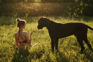 Yazın bir tarlada köpekle oynayan neşeli bir kadın.