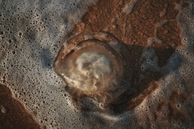 Kumsal okyanus manzarası doğa yaz adası