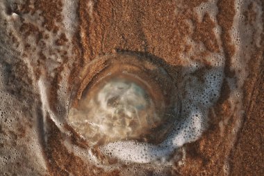 Kumsal okyanus manzarası doğa yaz adası