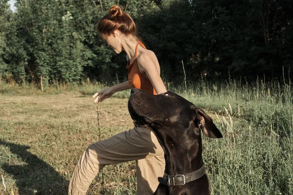 Femme gaie jouant au chien en plein air dans le domaine de l'amitié — Photo