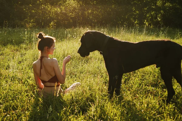 Весела жінка грає з собакою в полі на природі влітку — стокове фото