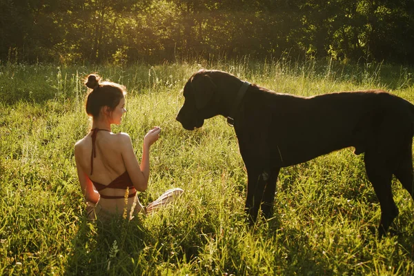 Cheerful woman playing with a dog in a field in nature in summer — Stock Photo, Image