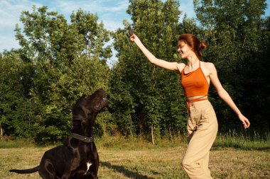 Dışarıda büyük siyah bir köpekle oynayan bir kadın. Eğlenceli bir arkadaşlık.