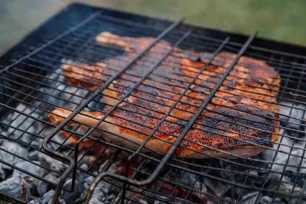 Nature barbecue grillage nourriture barbecue loisirs en plein air — Photo