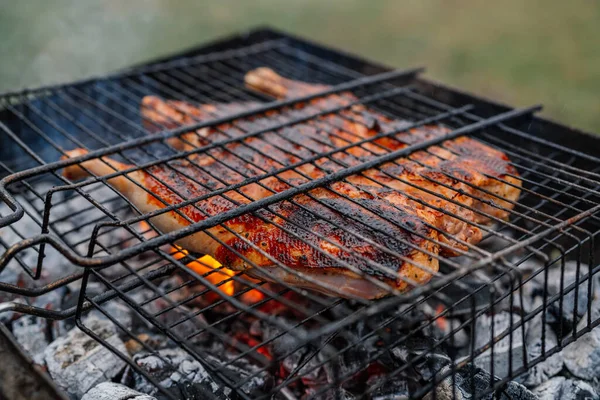 Natura barbecue grigliate cibo barbecue ricreazione all'aperto — Foto Stock