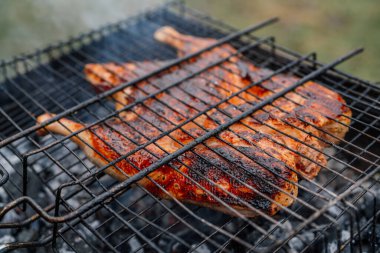 Kömür pişirme ızgara tavuk Brezilya usulü taze hava.