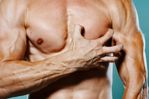 筋肉の男性の胴クロップドビューボディビルダーフィットネス — ストック写真