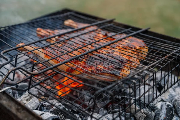Természet grill élelmiszer grill grill szabadtéri kikapcsolódás — Stock Fotó